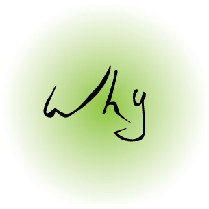 why design spring